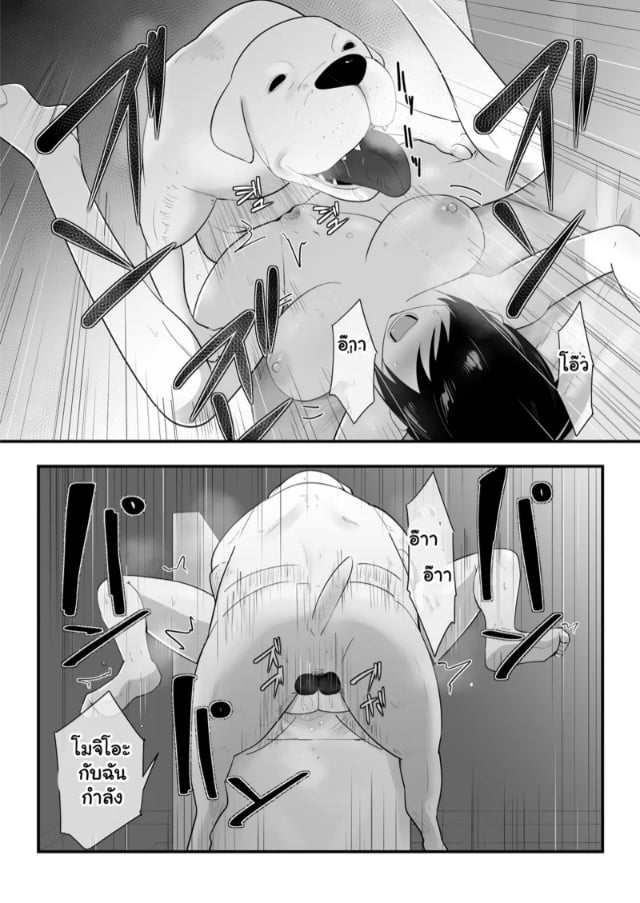0017.jpg