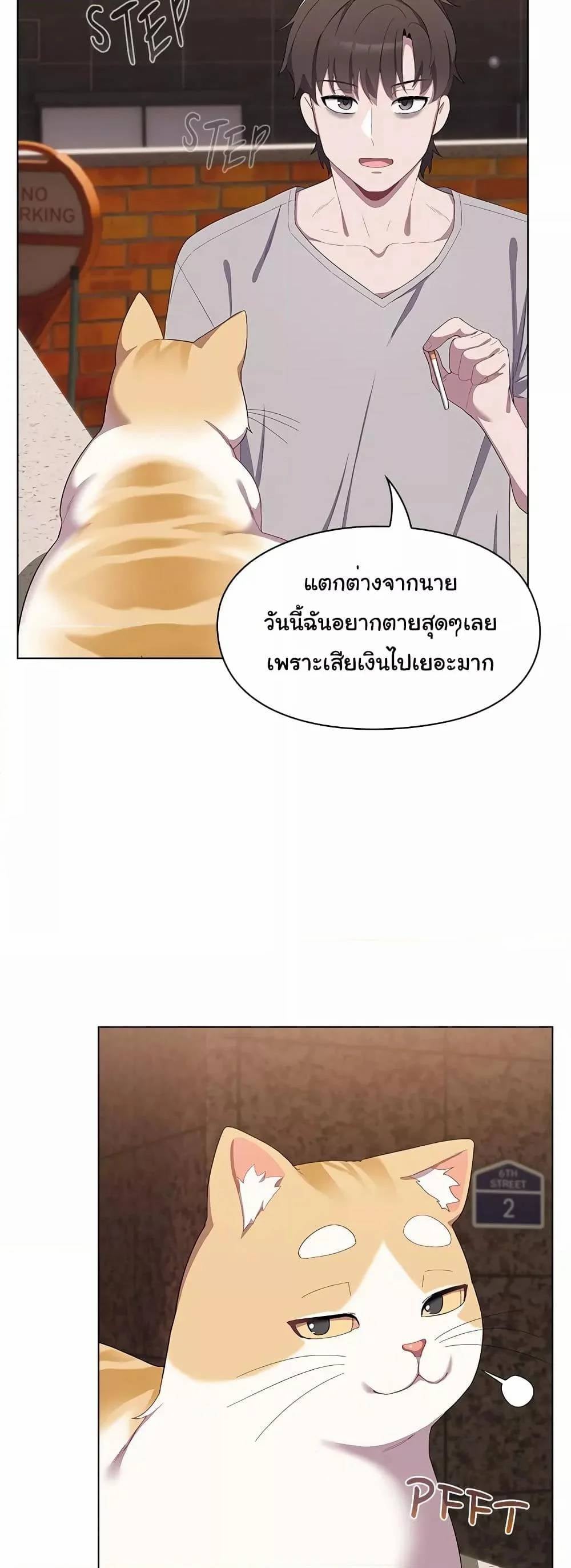 0029.jpg