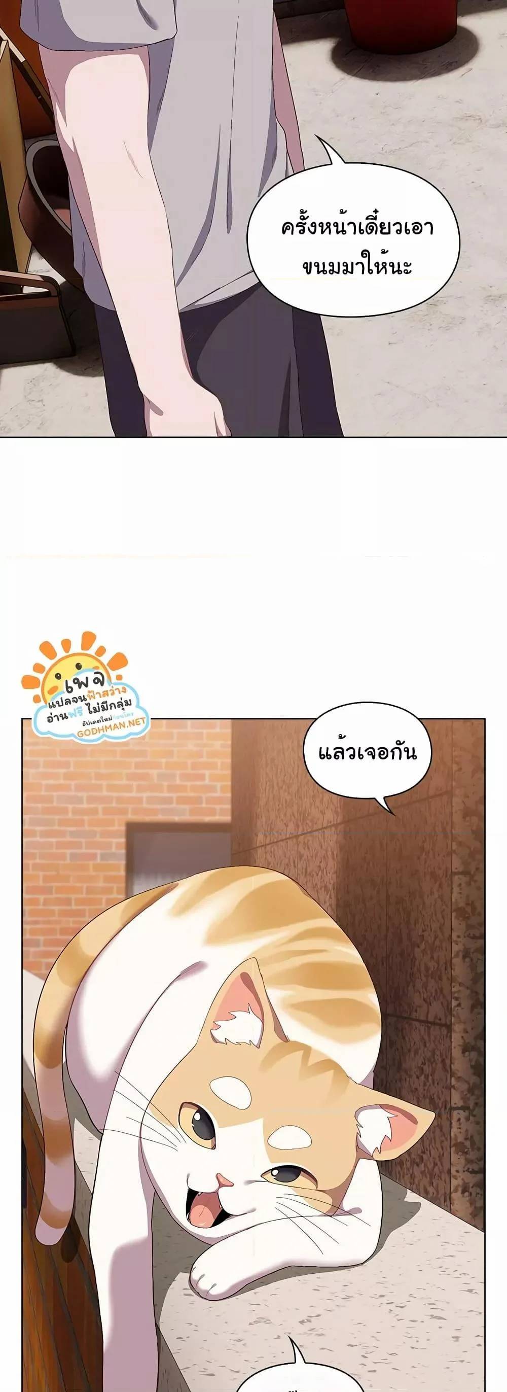 0050.jpg