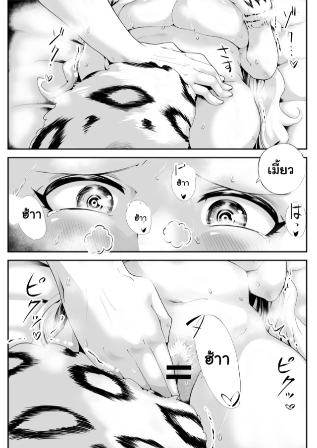 0017.jpg