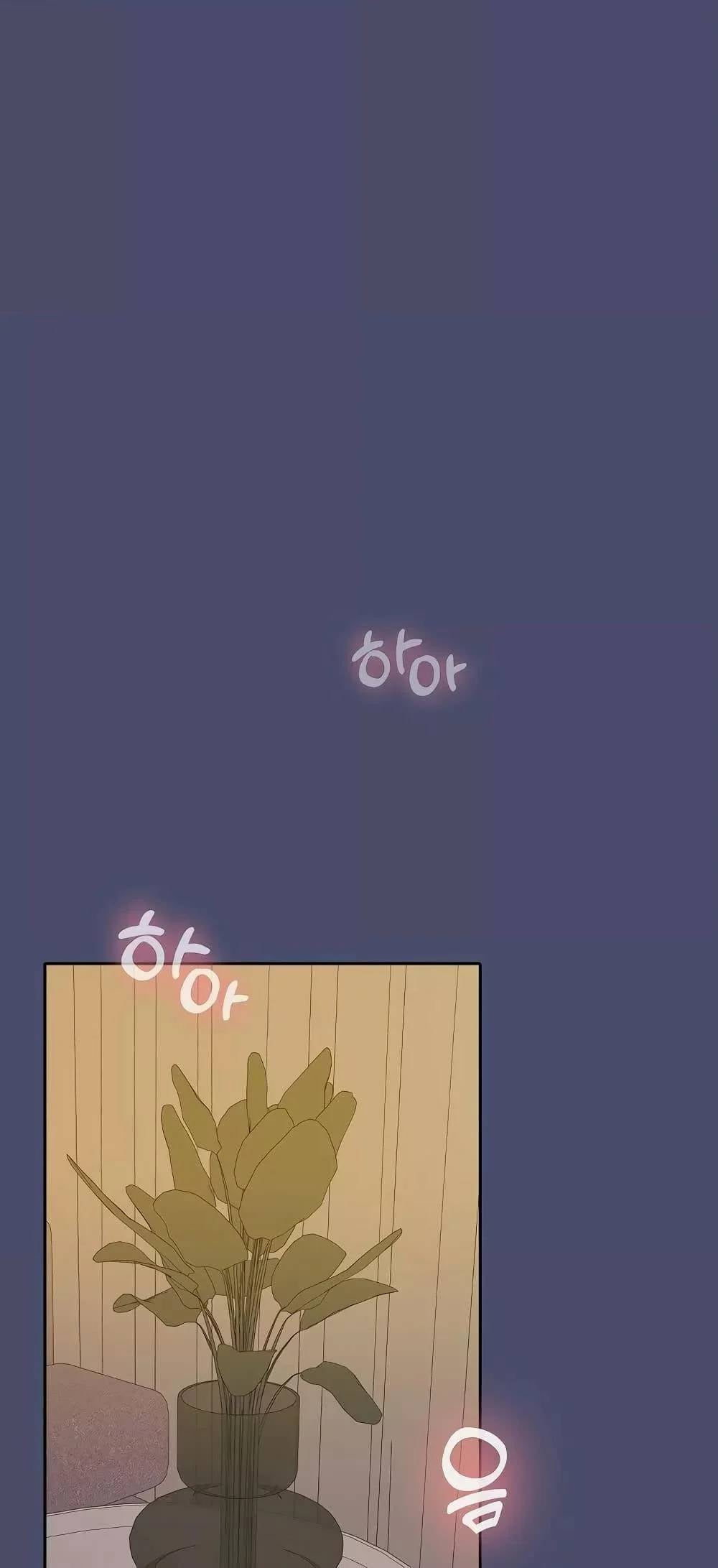 0050.jpg