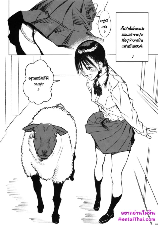 0002.jpg