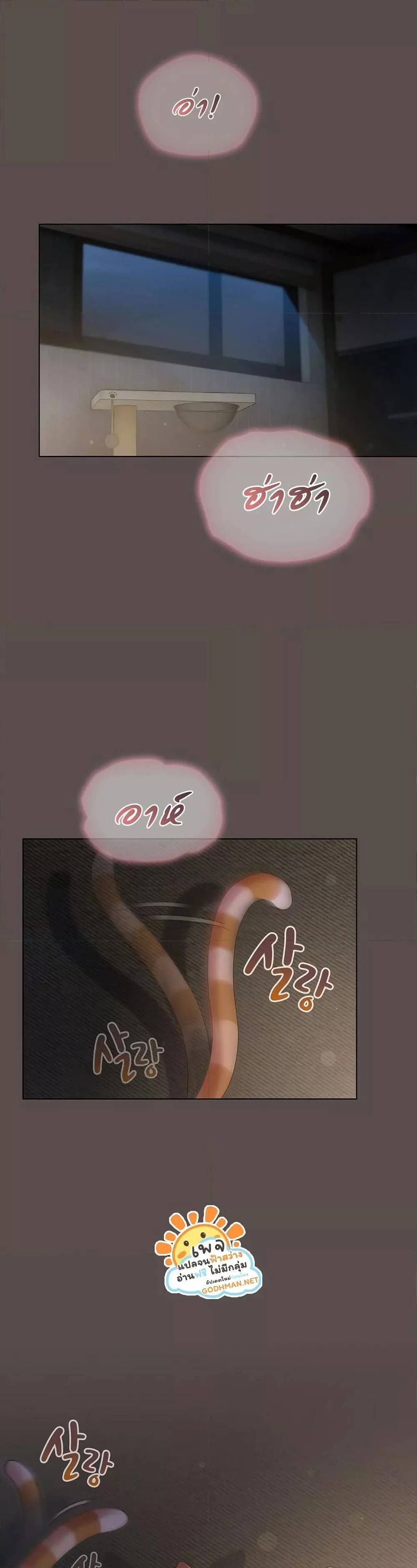 0009.jpg