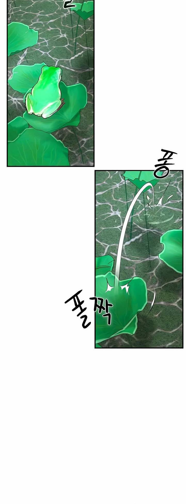 0017.jpg