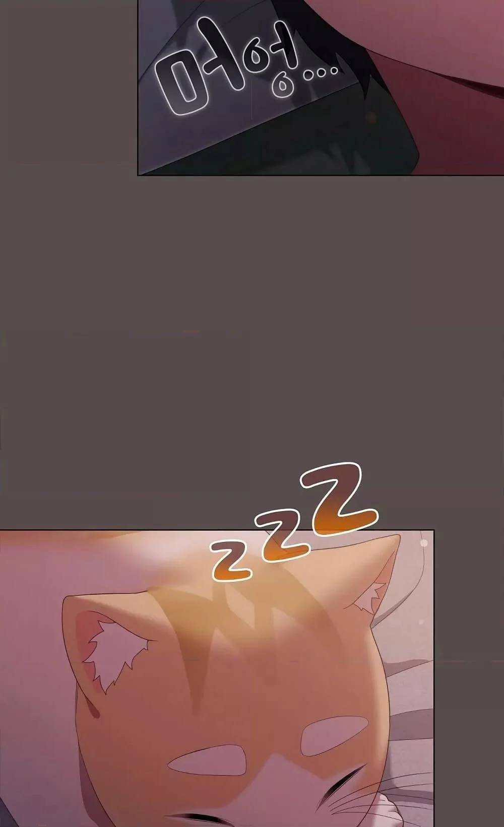 0005.jpg