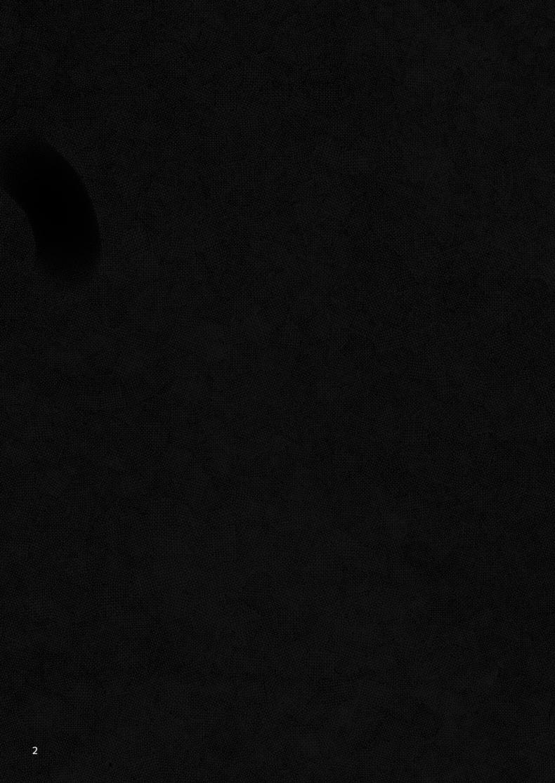 0005.jpg
