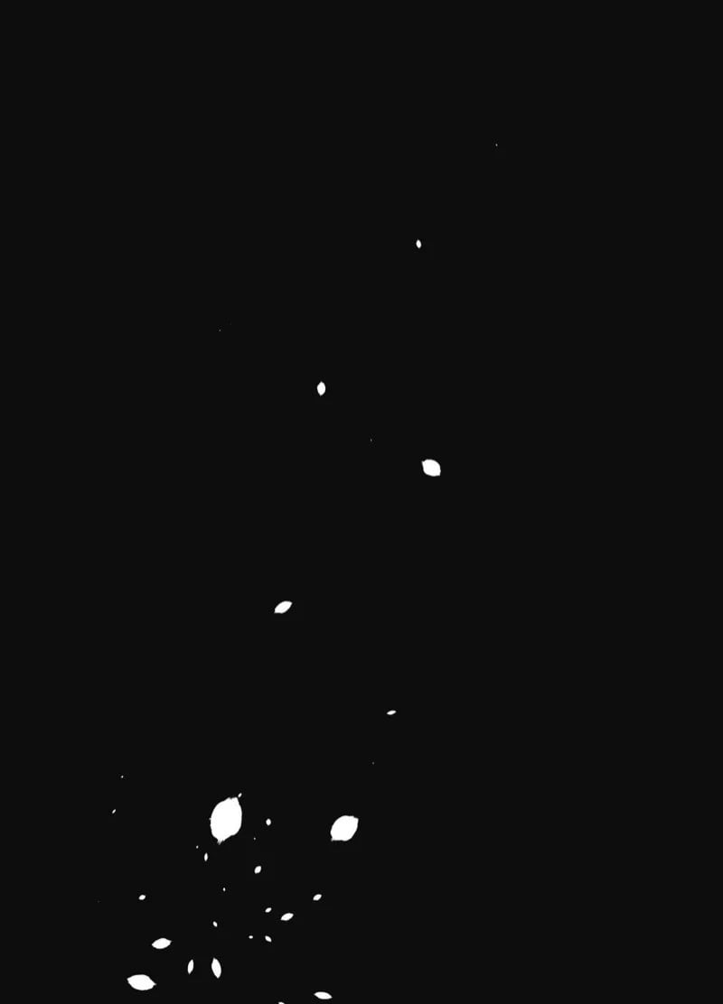 0024.jpg