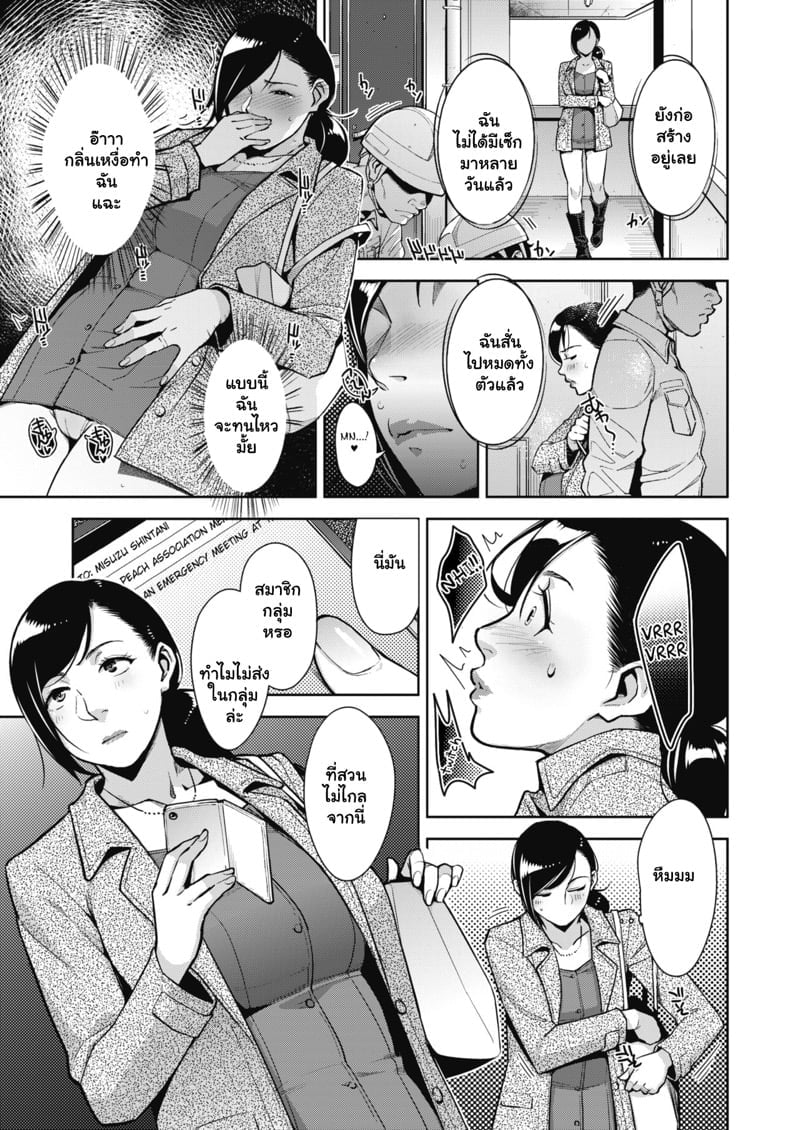 0005.jpg