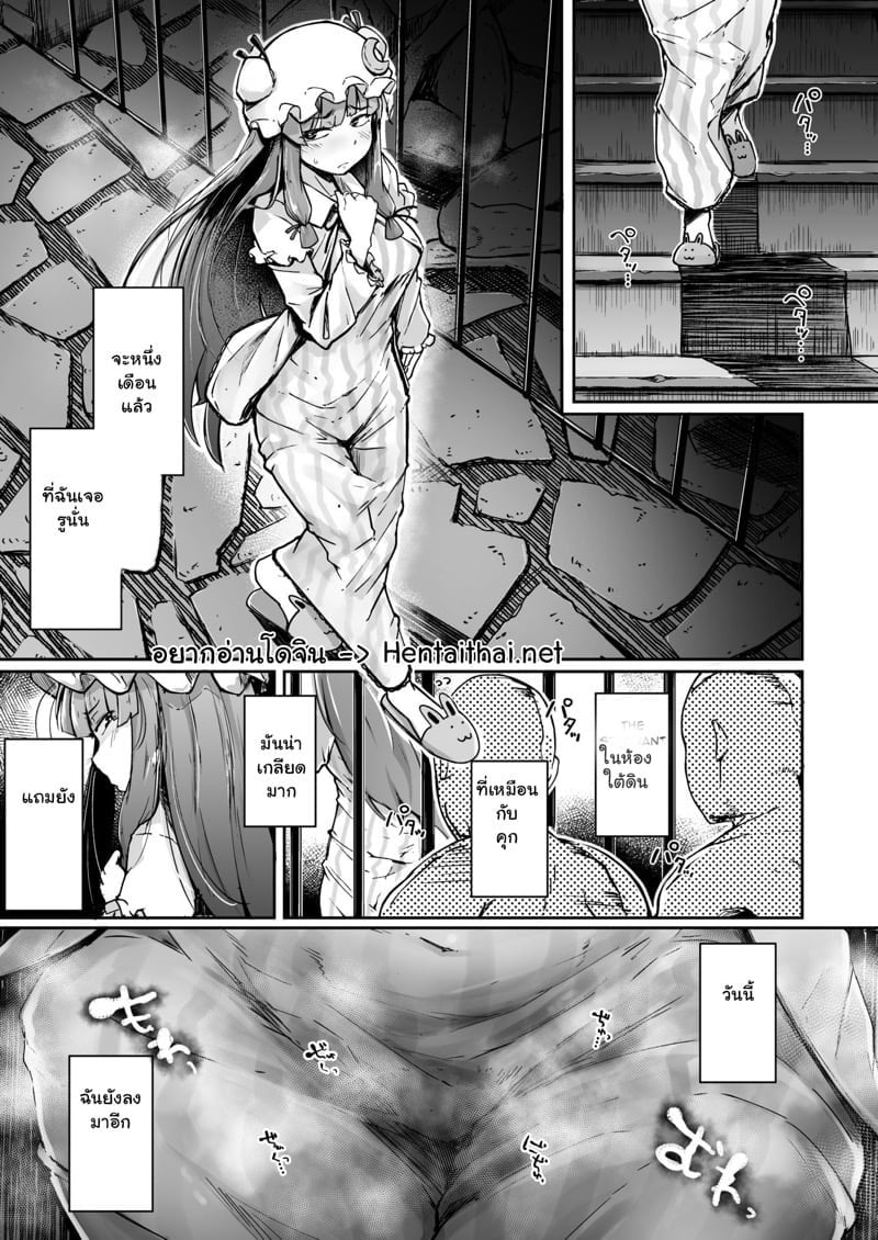 0002.jpg