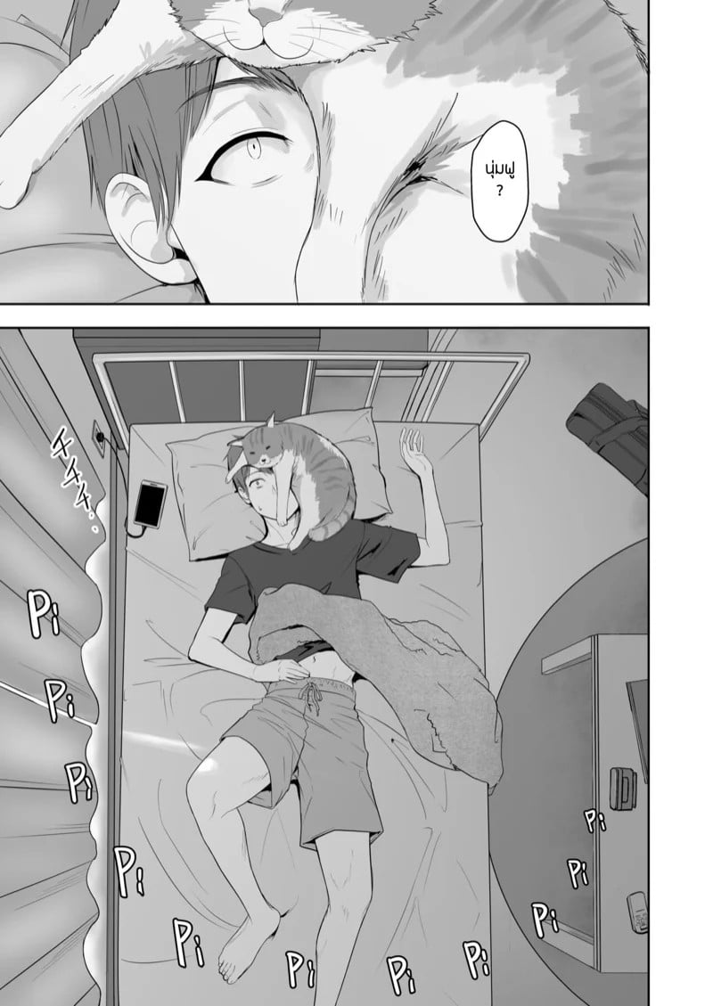 0005.jpg