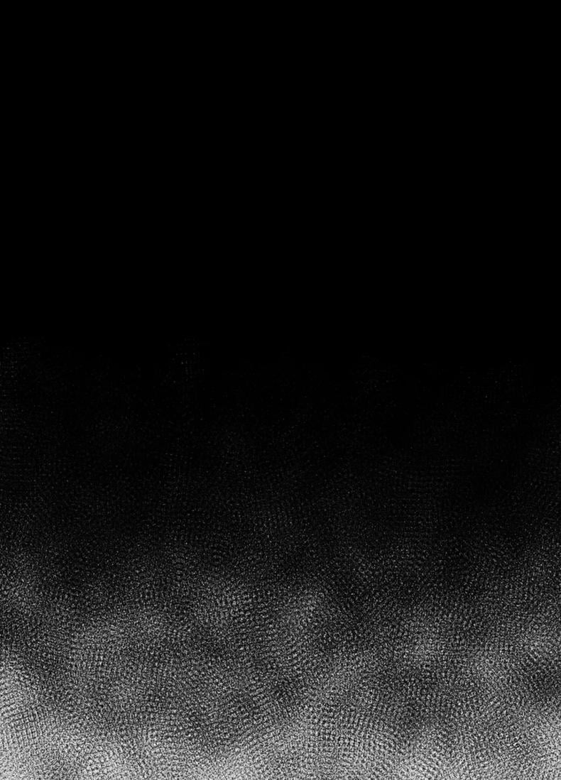 0081.jpg