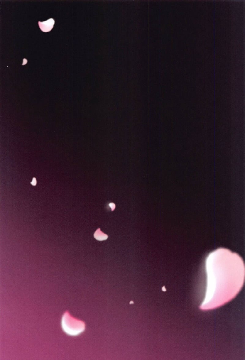 img00003.jpg