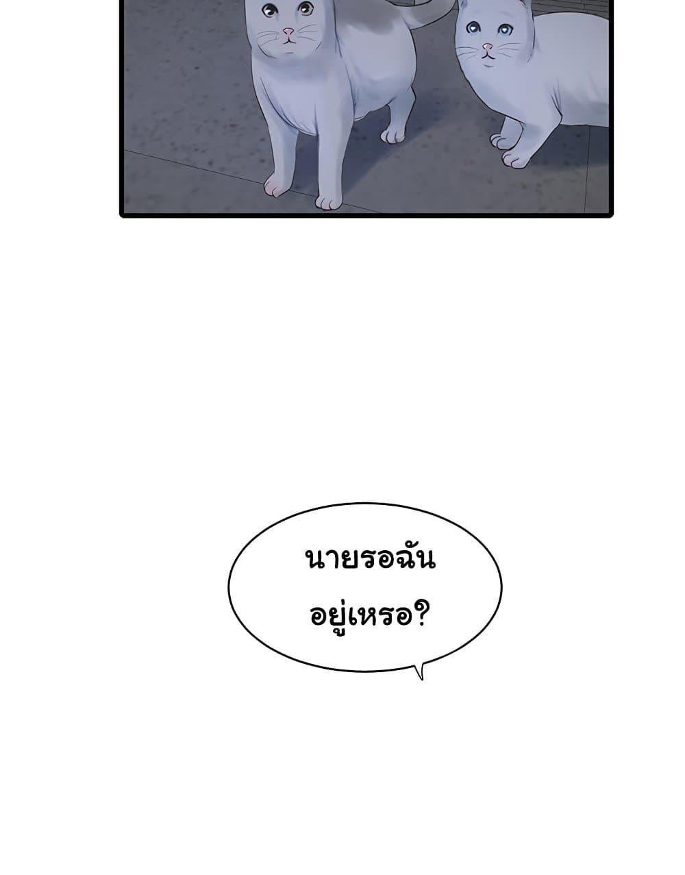 007.jpg