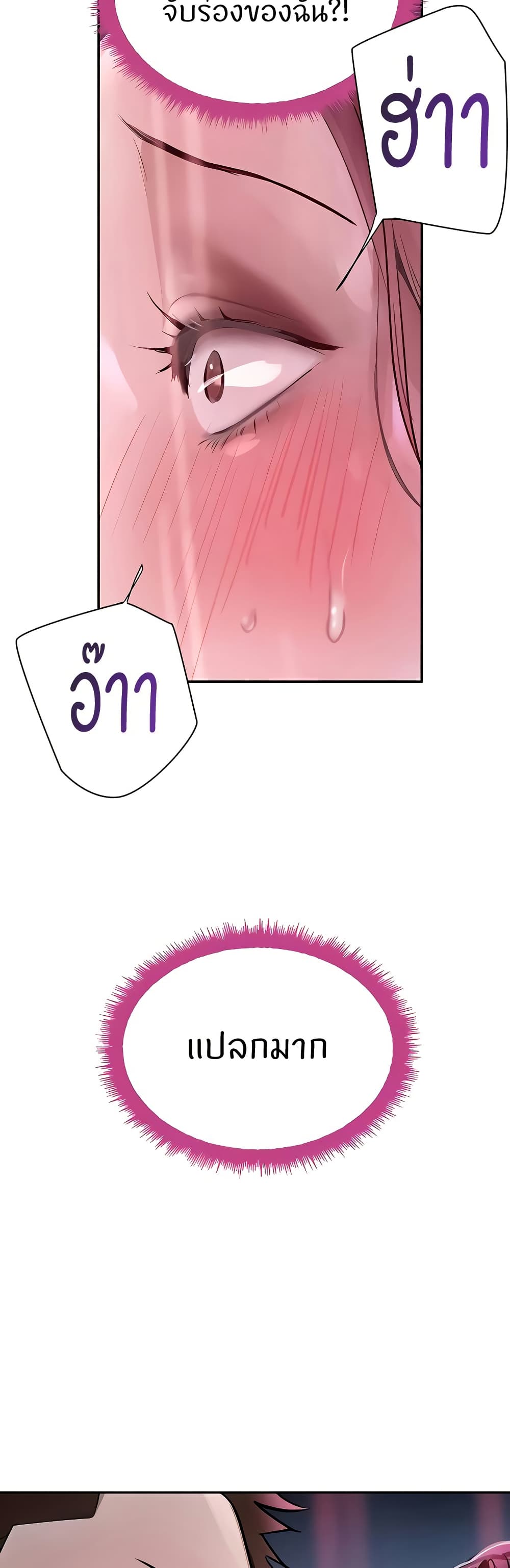 008.jpg