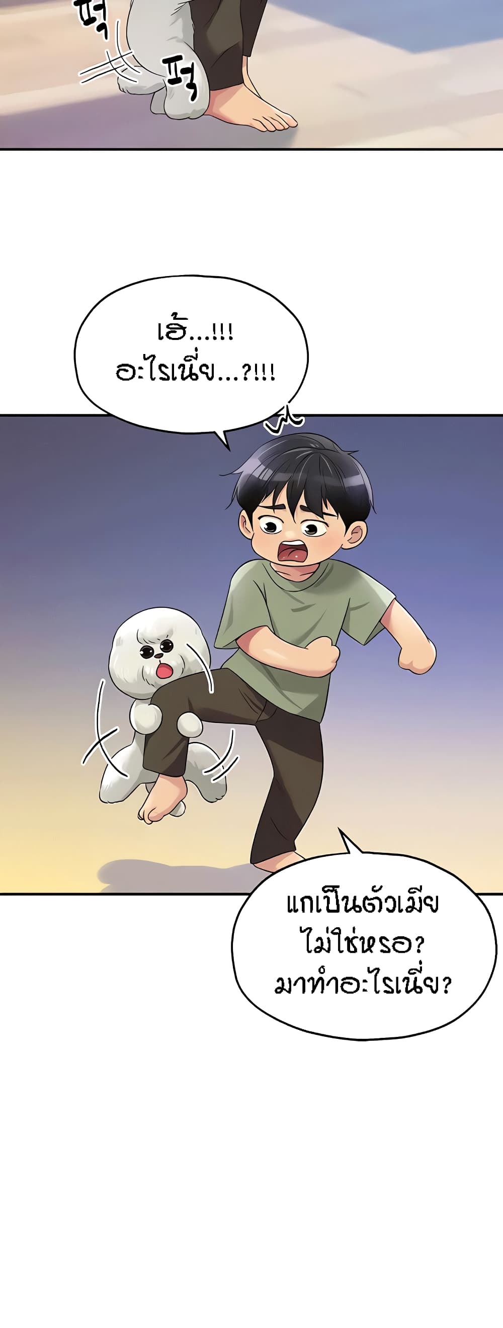 005.jpg