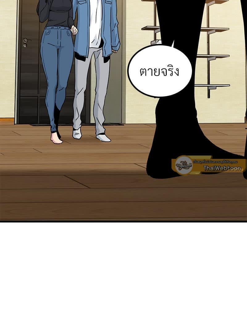 155.jpg