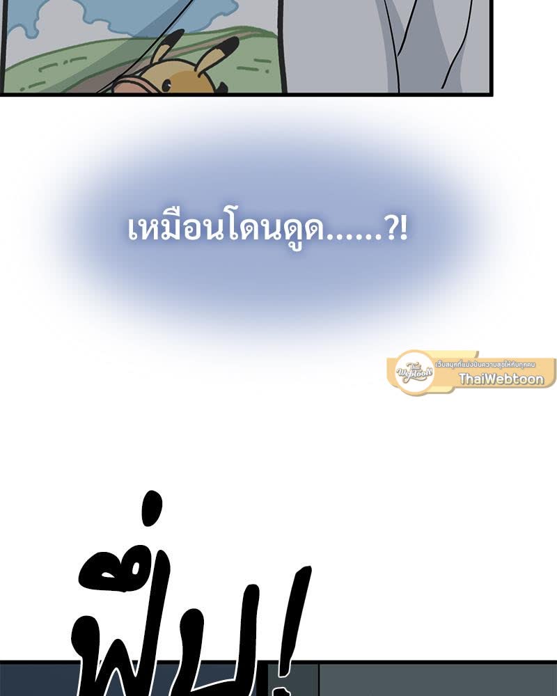 137.jpg