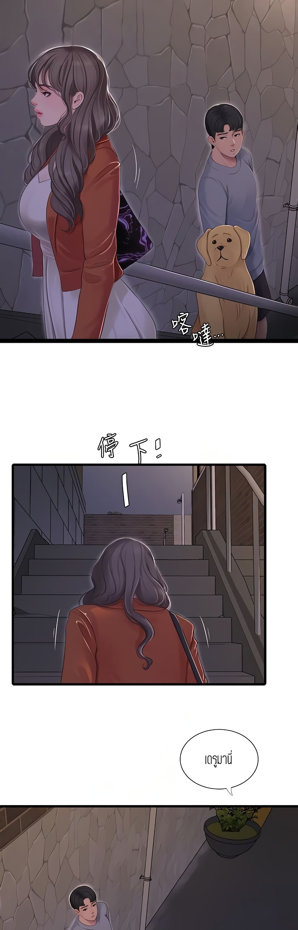 005.jpg