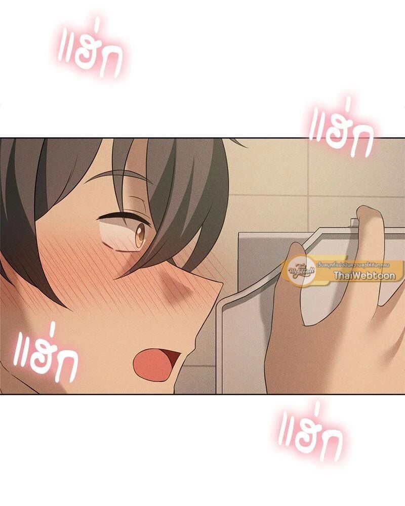 141.jpg