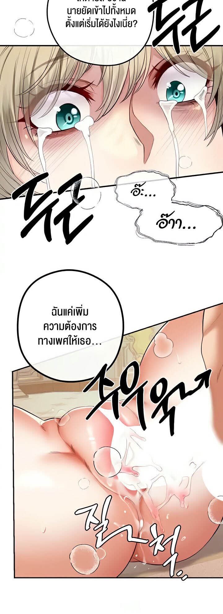 003.jpg