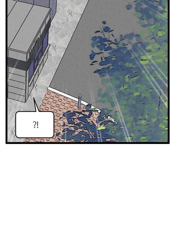 112.jpg