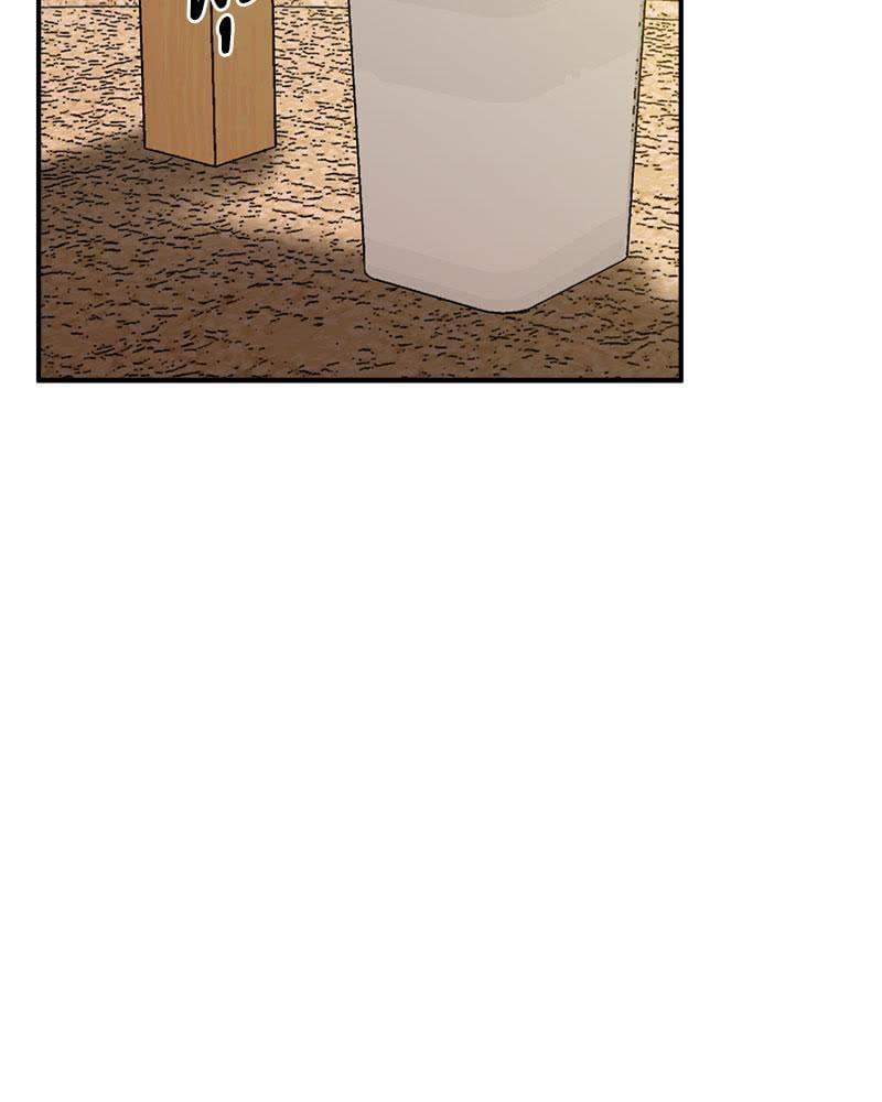 117.jpg