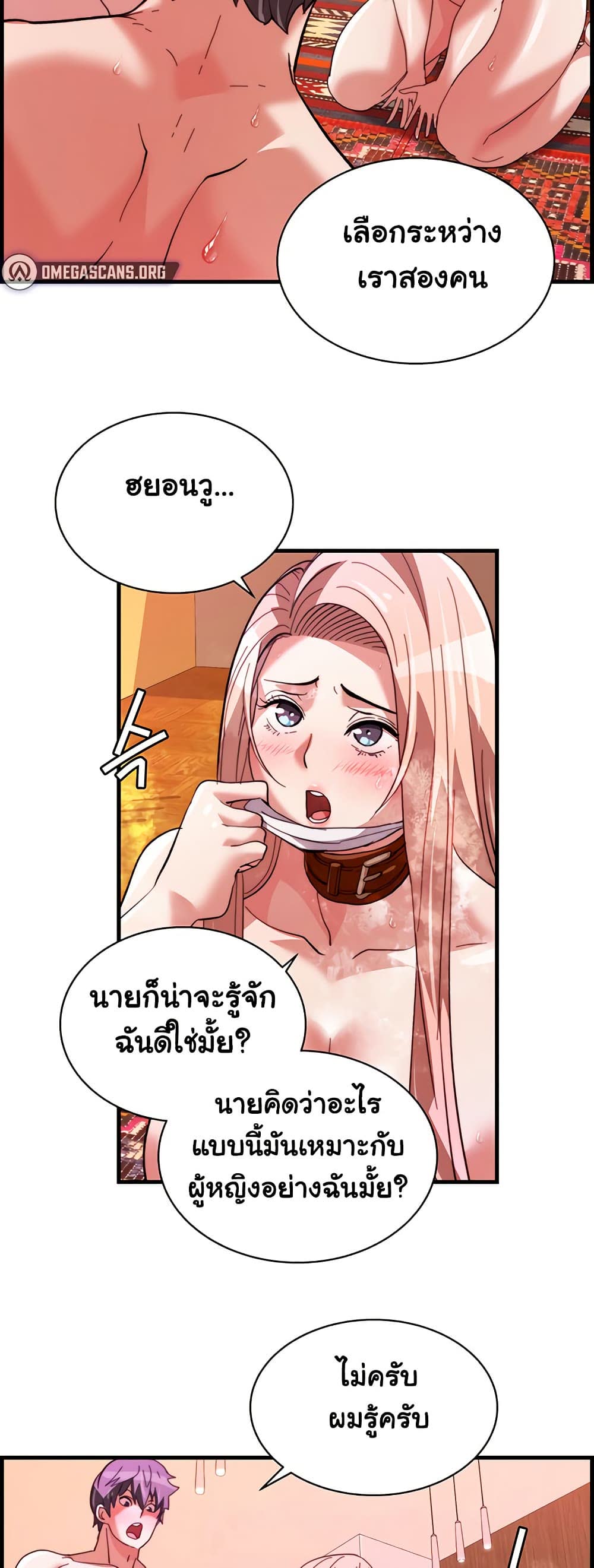 005.jpg