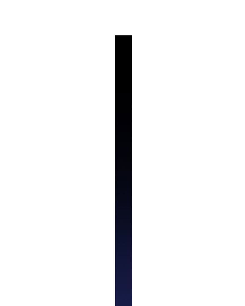 100.jpg