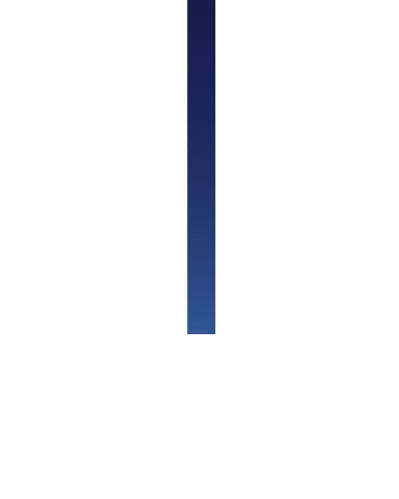 101.jpg