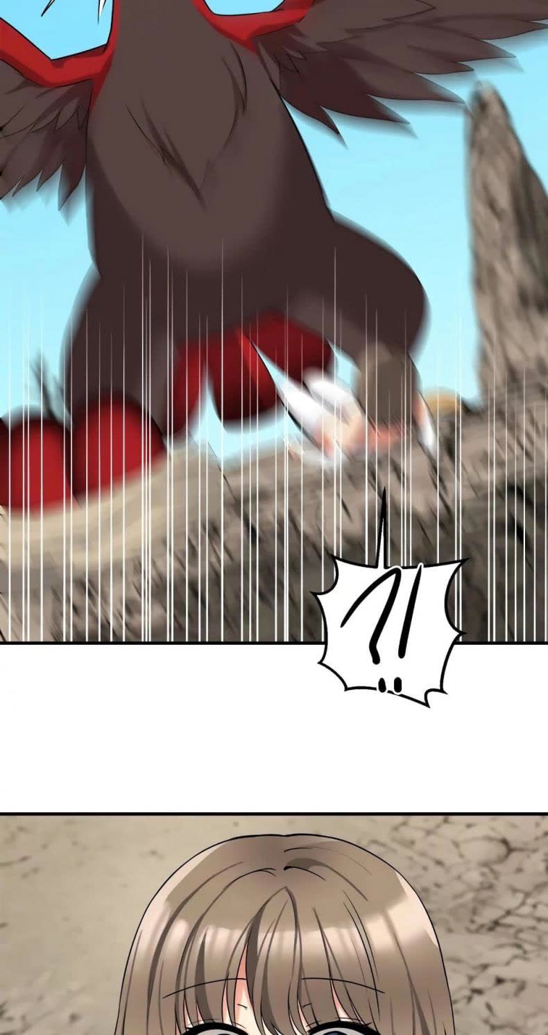 005.jpg