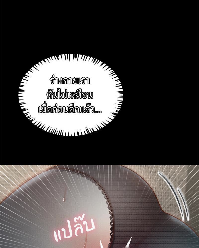 113.jpg