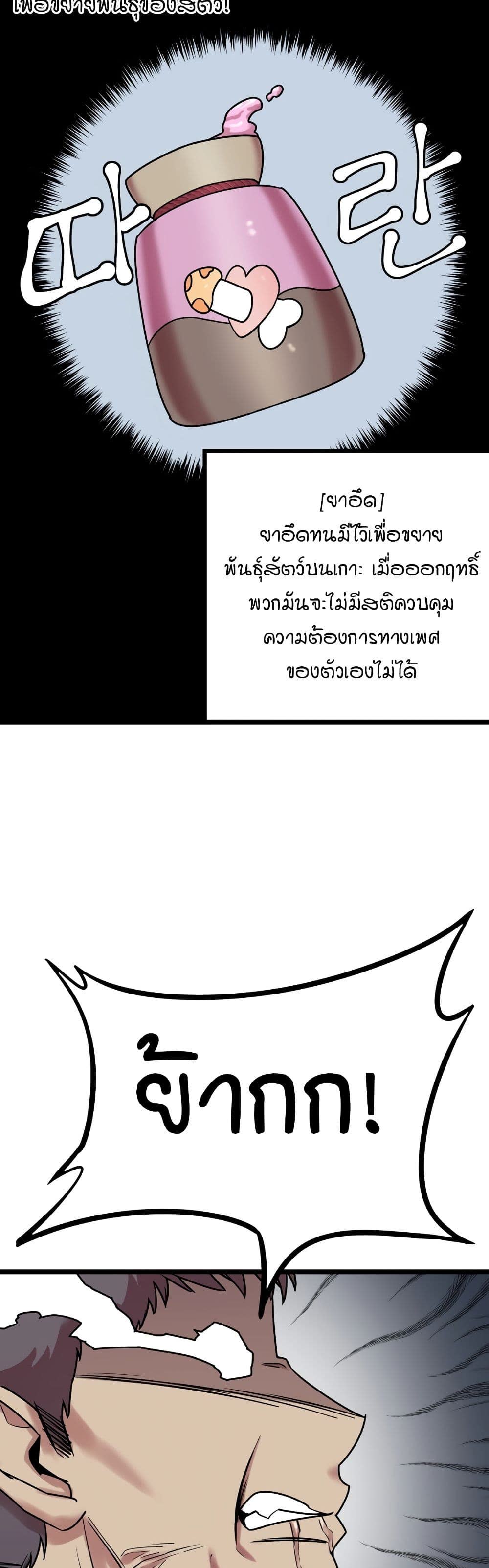 003.jpg