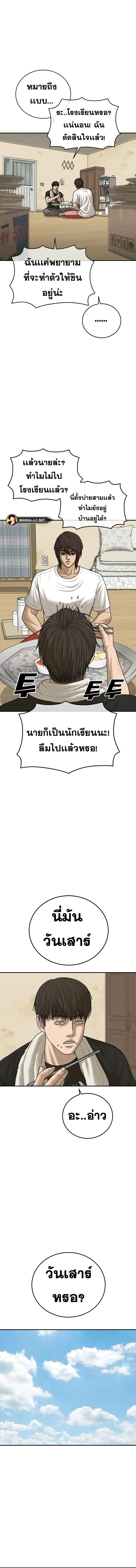 005.jpg