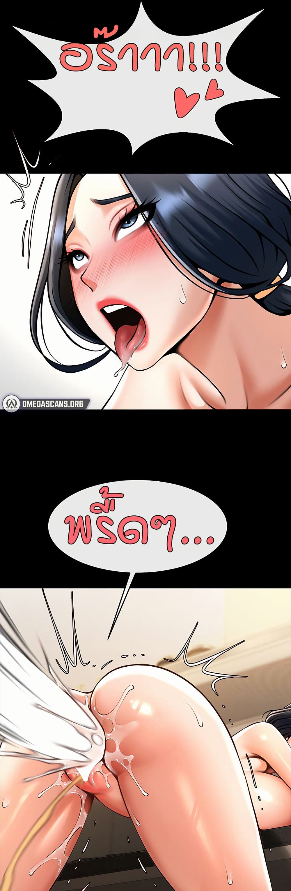 34.jpg