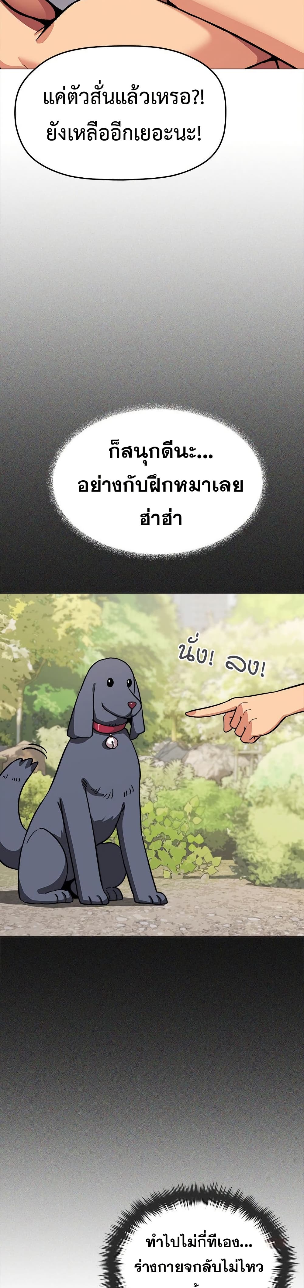 42.jpg