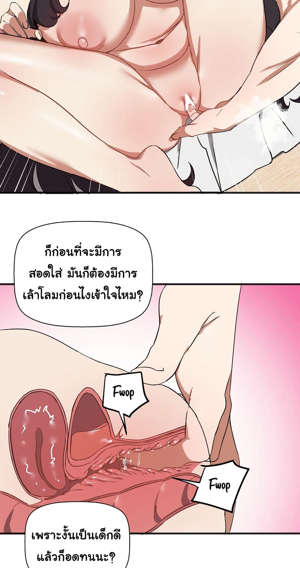 51.jpg
