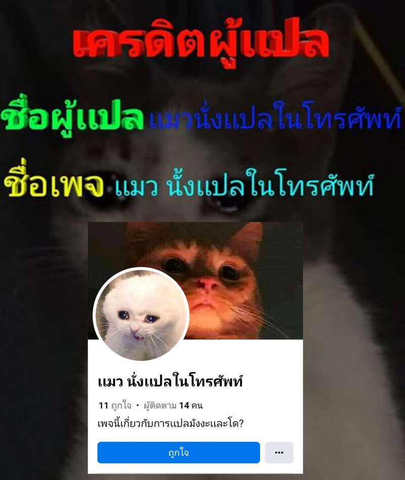 005.jpg