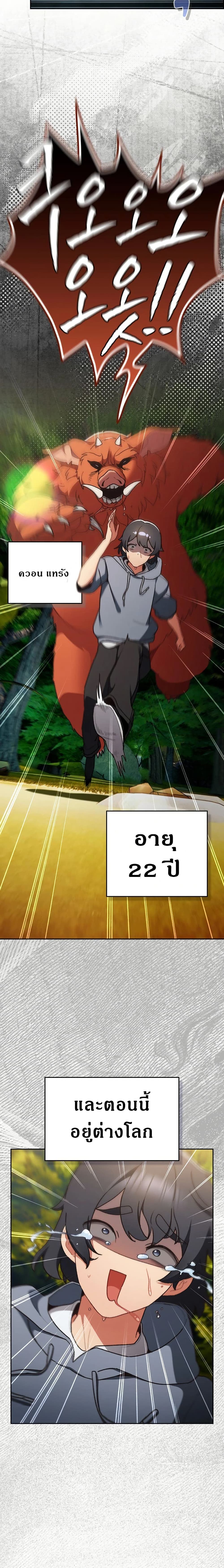 02.jpg