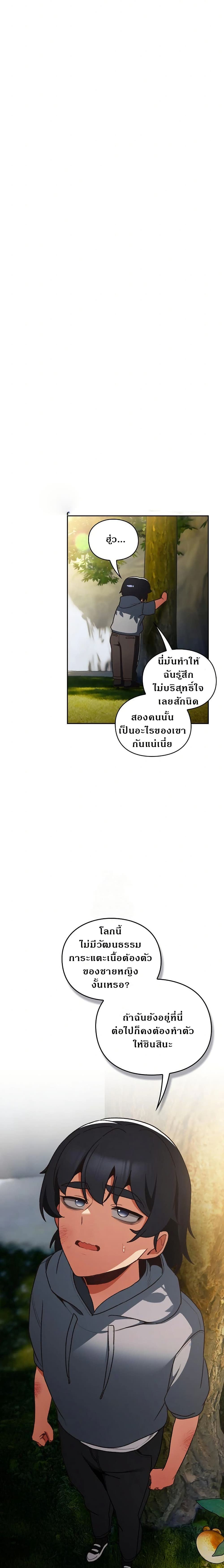 33.jpg