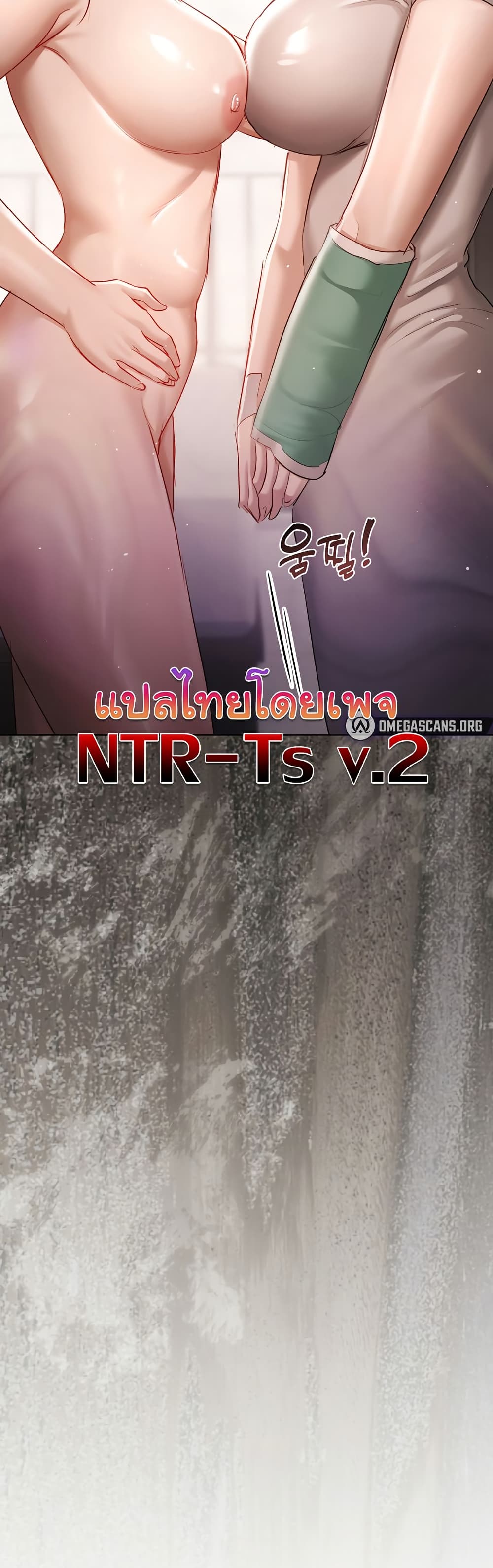 51.jpg