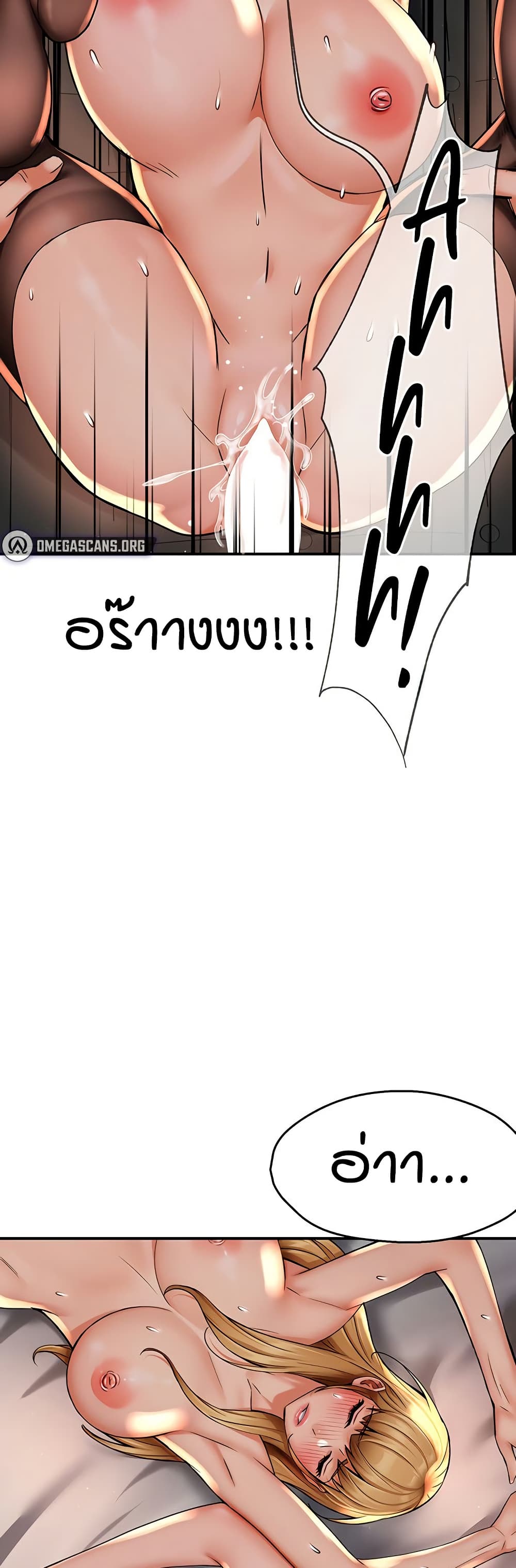 38.jpg