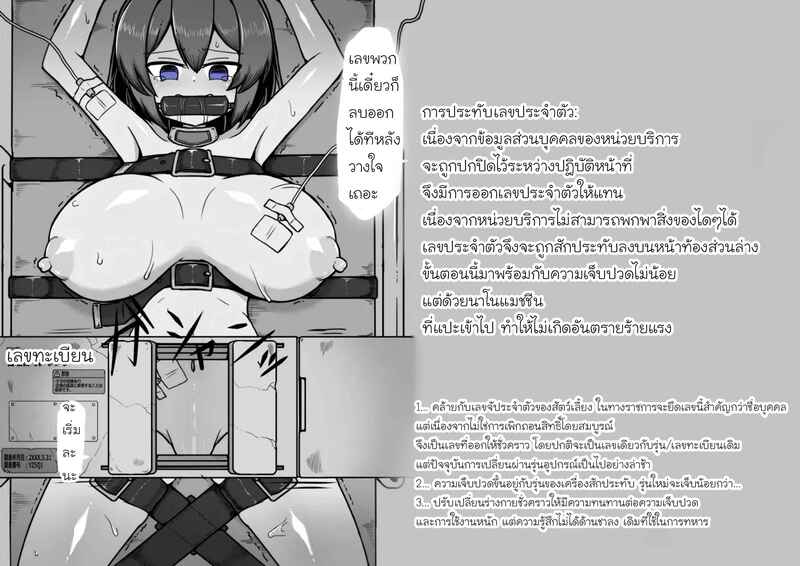 012.jpg