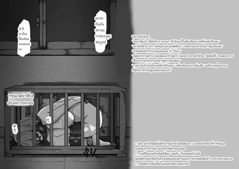 033.jpg