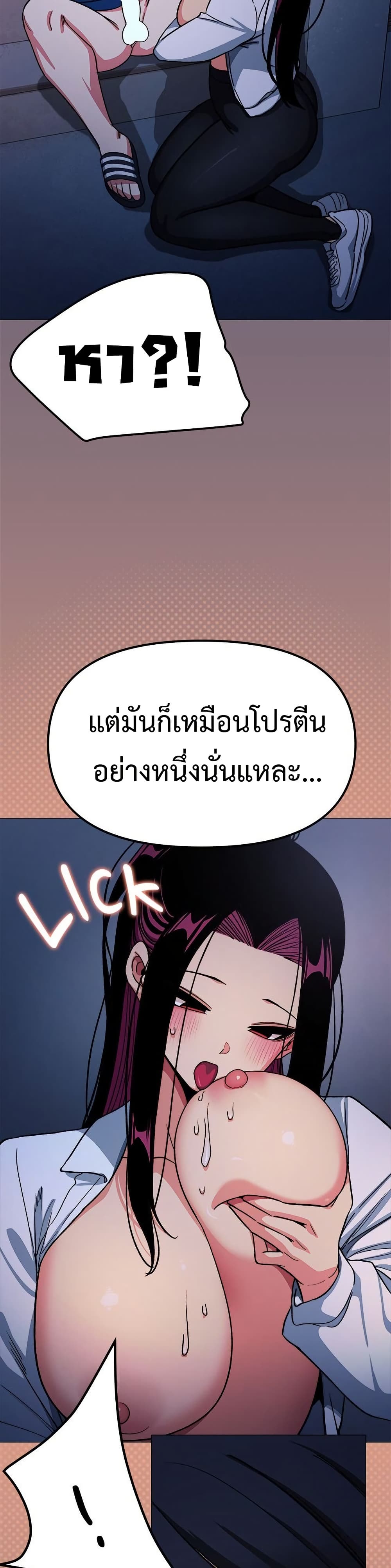 09.jpg