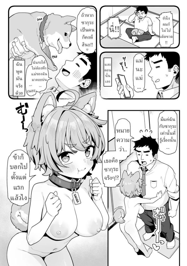 005.jpg