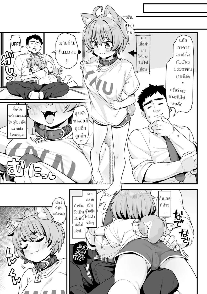 006.jpg