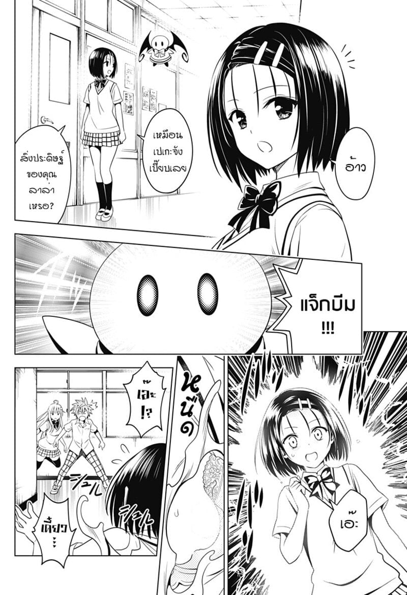 005.jpg