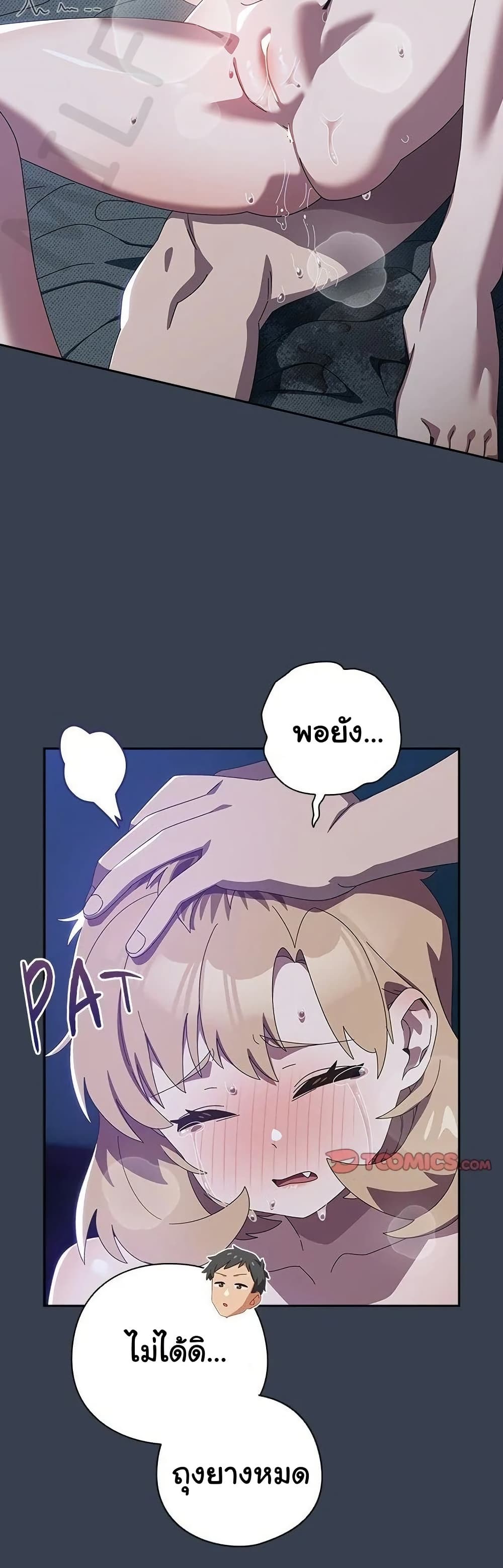 43.jpg