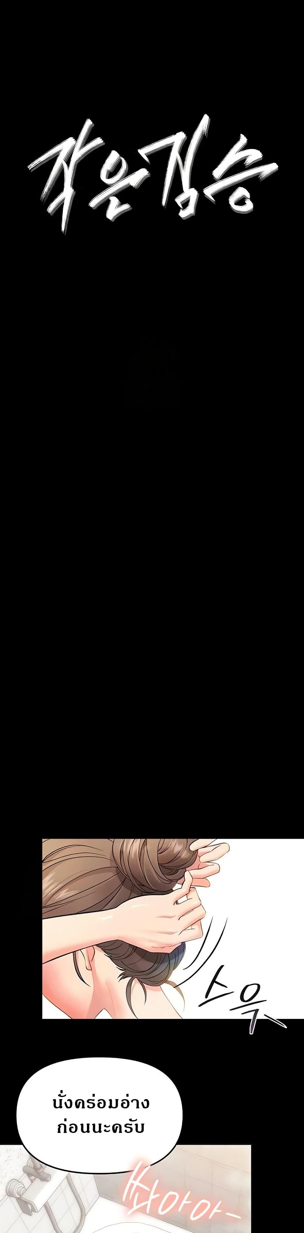 006.jpg