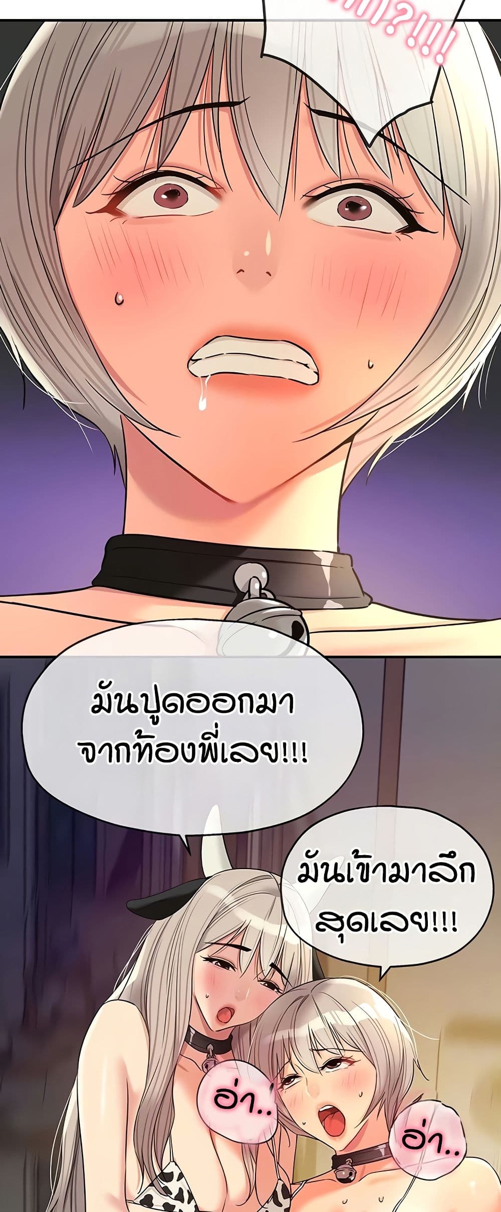 006.jpg